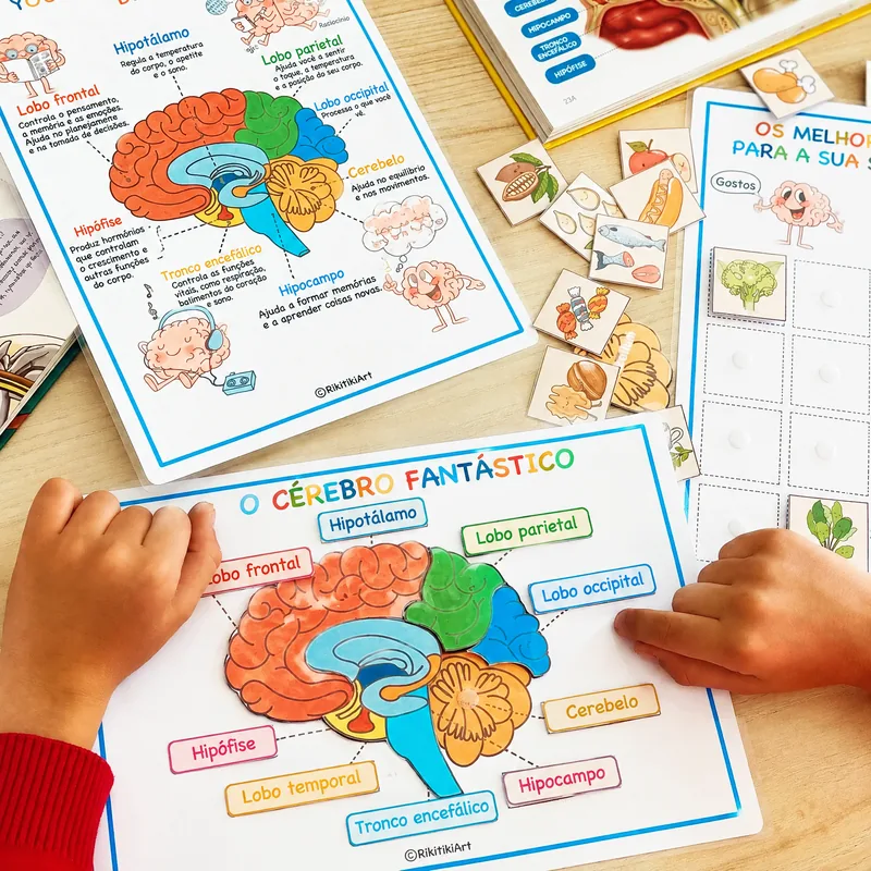 Atividade infantil sobre as partes do cérebro em português