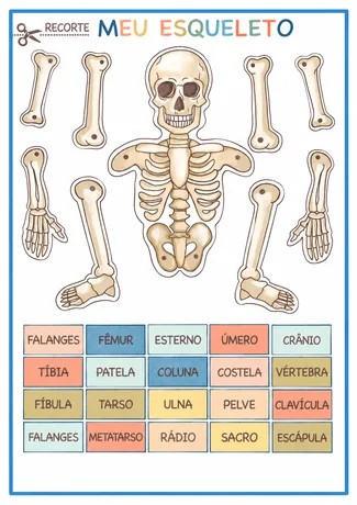 Atividade de recorte Meu Esqueleto
