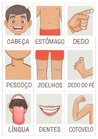 Flashcards ilustrados de partes do corpo humano