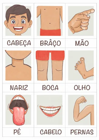 Flashcards de partes do corpo humano
