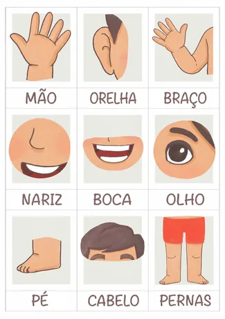 Flashcards extras de partes do corpo