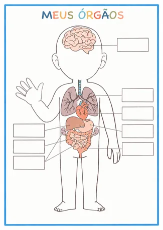 Atividade Meus Órgãos para completar